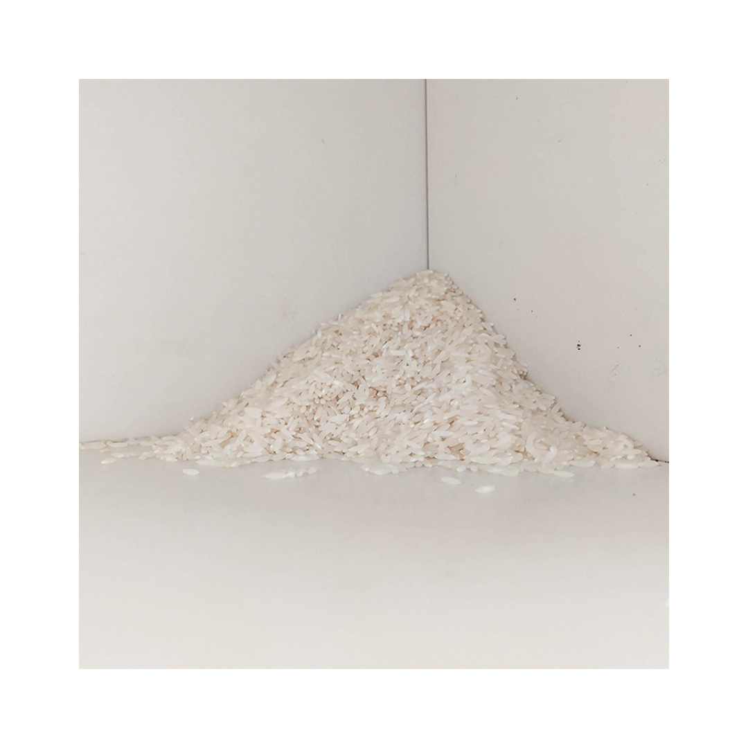 6 arroz