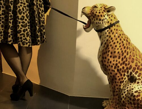 AUTOENGAÑO Nº4: A PASEAR CON LUSY