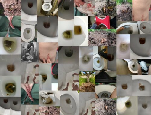 COLLAGE BAÑO