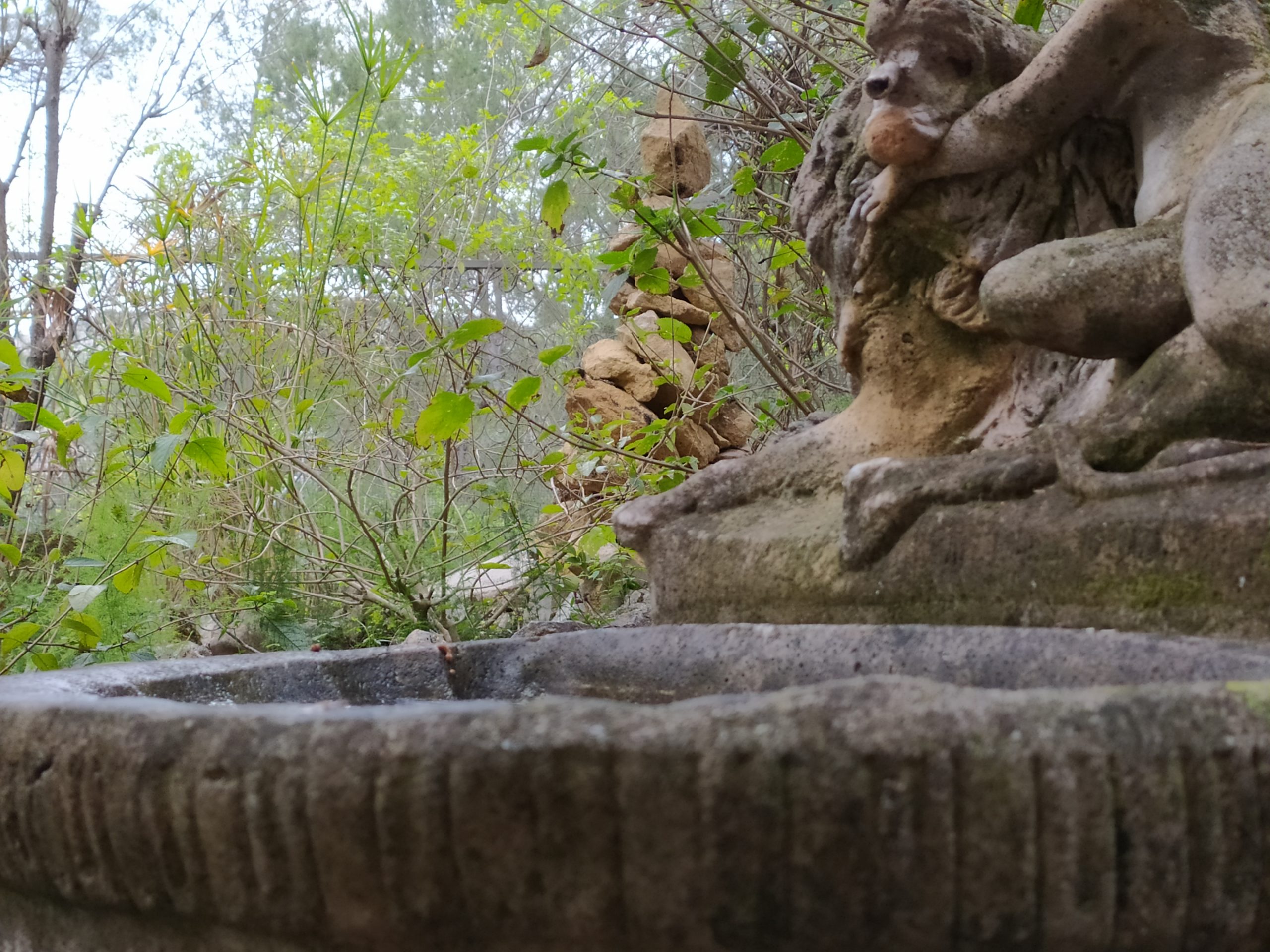 BIXQUERT8