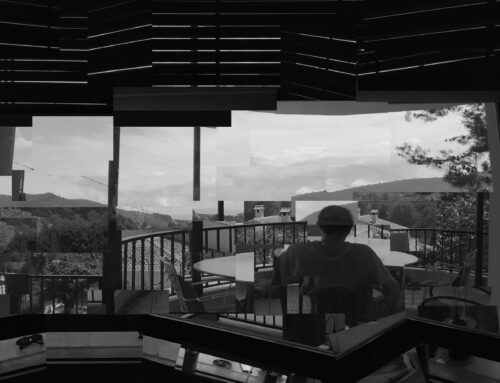 PERSPECTIVA – SUCCECCIÓ – VISTA